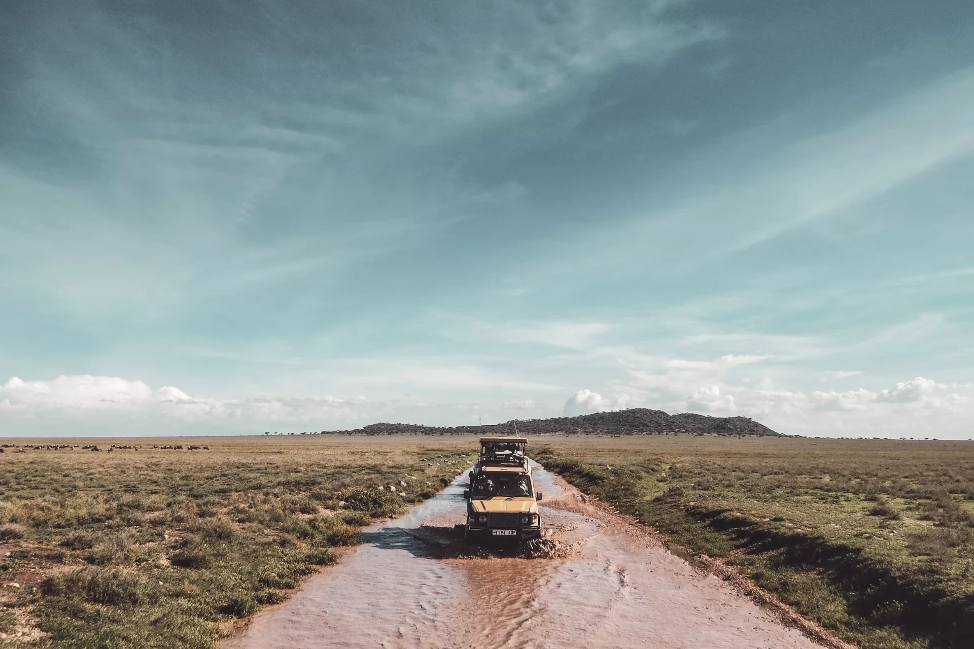 7-Day Mid-Range Elite Safari – Comfort & Wildlife Views
