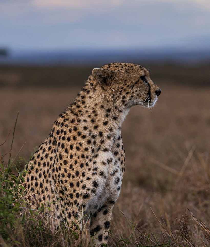 Serengeti National Park